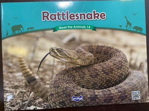 Meet the Animals 14 - Rattlesnake