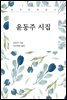 윤동주 시집 (한국문학읽다)