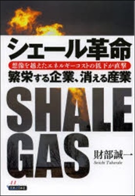 シェ-ル革命 繁榮する企業,消える産業