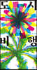 도시 비행