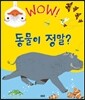 동물이 정말?