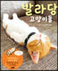 발라당 고양이들