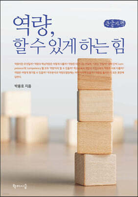 역량, 할 수 있게 하는 힘 (큰글자책)