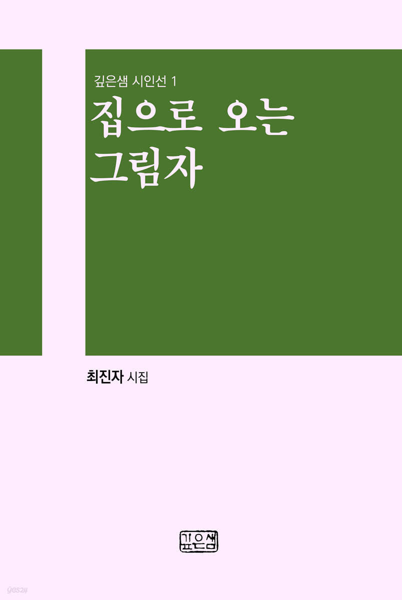 집으로 오는 그림자