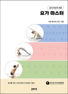요가 지도자 과정, 요가 마스터