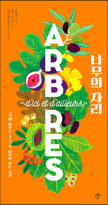나무의 자리