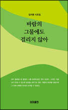 바람의 그물에도 걸리지 않아