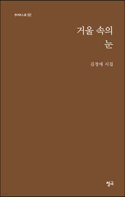 거울 속의 눈