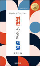 미친 사랑의 포로