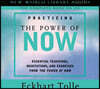 Practicing the Power of Now: Essentials Teachings, Meditations, and Exercises from the Power of Now