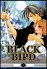 블랙 버드 (BLACK BIRD) 18