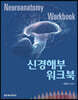 신경해부 워크북