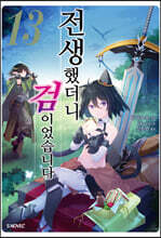 전생했더니 검이었습니다 13