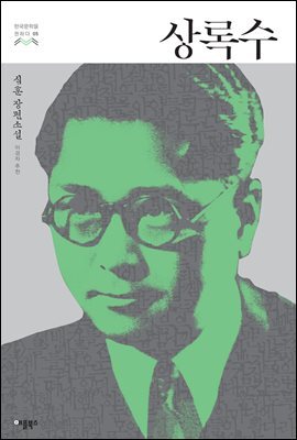 [대여] 상록수 - 한국문학을 권하다 05 : 심훈 장편소설