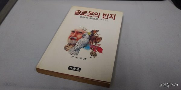 솔로몬의 반지 (실사진 첨부/설명참조)코믹갤러리