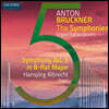Hansjorg Albrecht 브루크너: 오르간 편곡에 의한 교향곡 전집 5집 (Anton Bruckner Project: The Symphonies [Organ Transcriptions], Vol. 5)