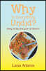 Why Is Everything Undid?: Diary of the First Year of Divorce
