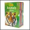 Usborne Beginners Animals Boxed Set