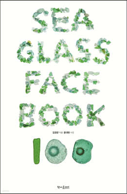 SEA GLASS FACE BOOK 100