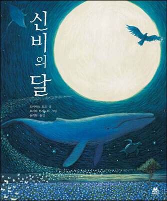 신비의 달