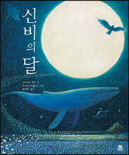 신비의 달