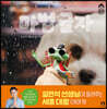마법 글자