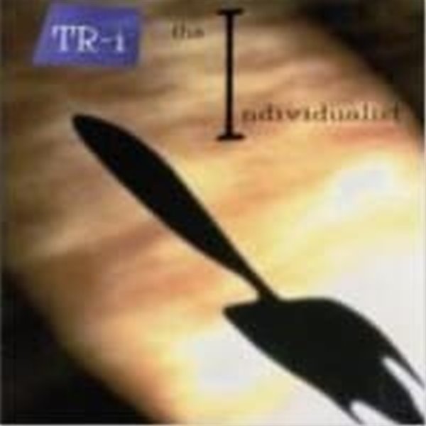 Todd Rundgren / The Individualist (일본수입)