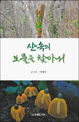 산 속의 보물을 찾아서