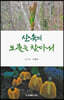 산 속의 보물을 찾아서