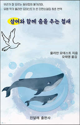 상어와 함께 춤을 추는 철새