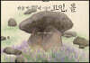 하늘 땅 사람이 어울려 고인, 돌