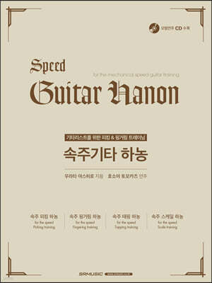 속주 기타 하농