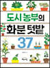 도시 농부의 화분 텃밭 37