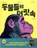동물들의 머릿속