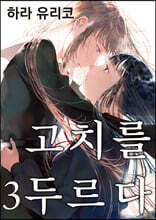 고치를 두르다 3
