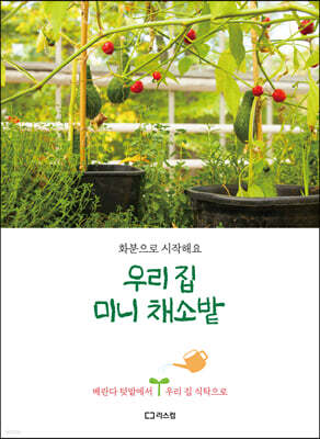 우리 집 미니 채소밭