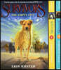 Survivors Box Set: The Empty City/A Hidden Enemy/Darkness Falls