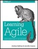 Learning Agile: Understanding Scrum, Xp, Lean, and Kanban