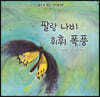 팔랑 나비 휘휘 폭풍
