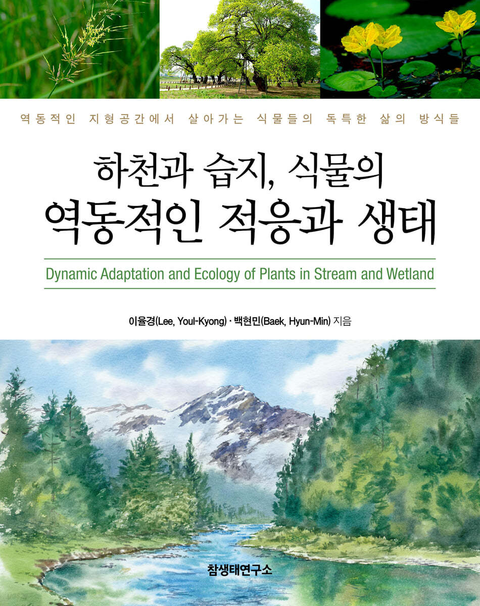 하천과 습지, 식물의 역동적인 적응과 생태