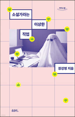 소설가라는 이상한 직업 (큰글자도서)