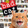 Bad Cat Wall Calendar 2024