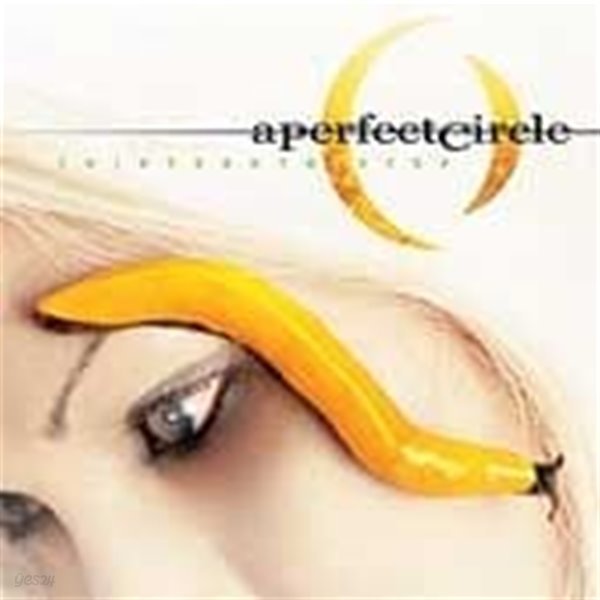 A Perfect Circle / Thirteenth Step (수입)