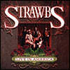 Strawbs (스크롭스) - Live In America