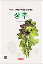 누구나 재배할 수 있는 텃밭채소 상추