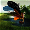 바흐: 만돌린으로 연주하는 무반주 소나타 & 파르티타 1집 (Bahc: Solo Sonatas & Partitas for Mandolin) (180g)(LP) - Chris Thile