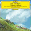 히사이시 조: 지브리 OST 편곡집 (Hisaishi Joe: Symphonic Celebration) [픽쳐디스크 2LP]