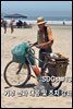 SDGs #13 기후변화 대응 및 조치 강화