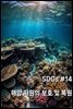 SDGs #14 해양자원의 보호 및 복원
