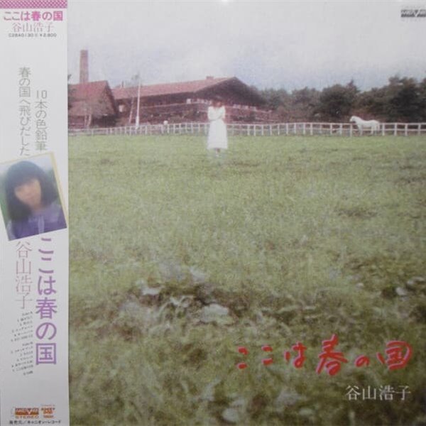 [일본반][LP] Hiroko Taniyama - ここは春の? [Gatefold]